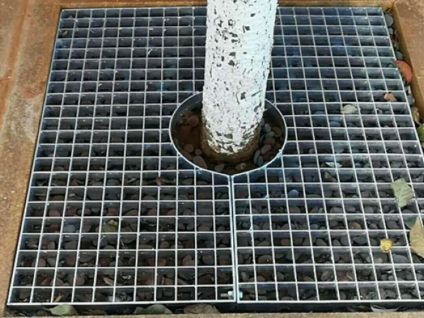 樹池蓋板